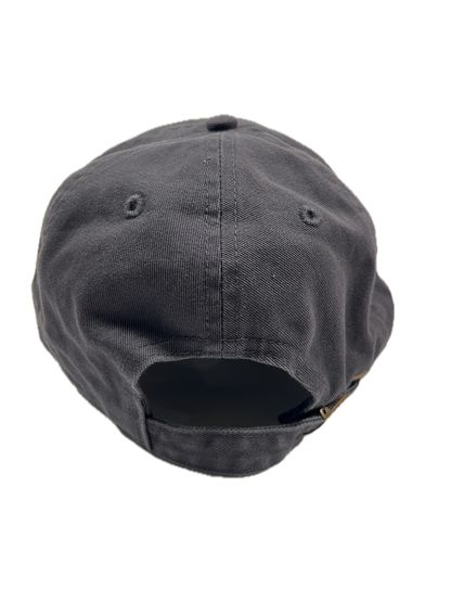 AUDIO SCIENCE LABORATORY「Double Logo」Cap